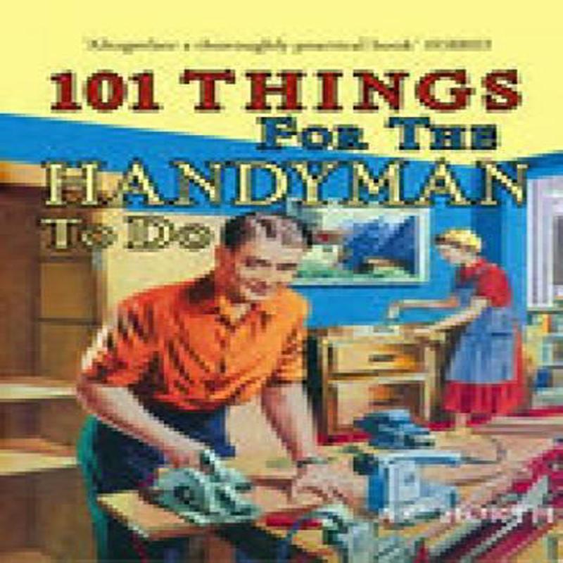 101 Things for the Handyman to Do (101 Things to Do)