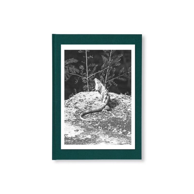 CHICXULUB by Mrten Lange [SPECIAL EDITION (LIZARD)]