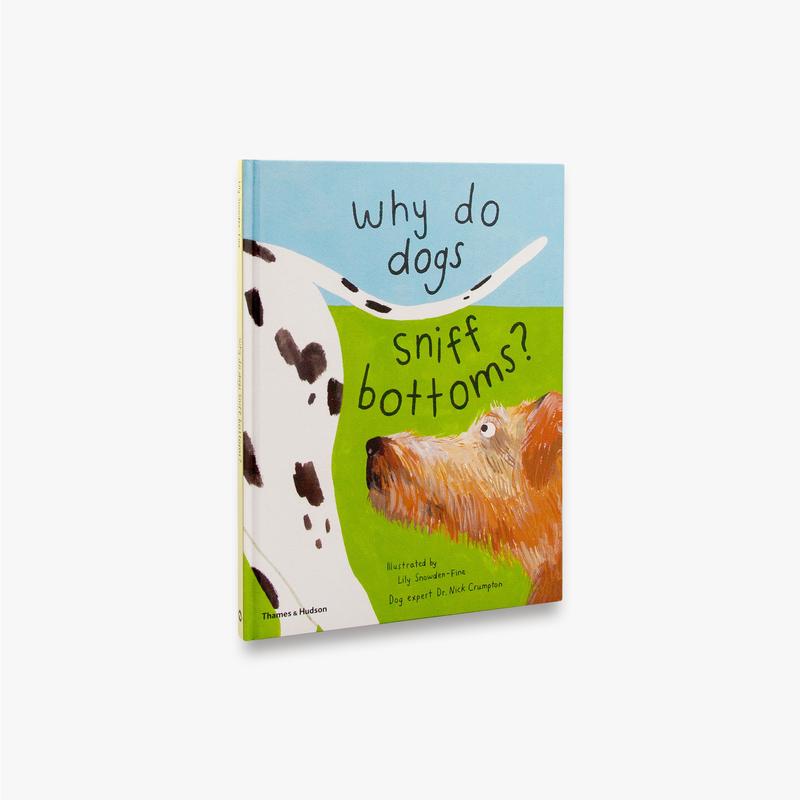 Why do dogs sniff bottoms? (Favourite Pets)