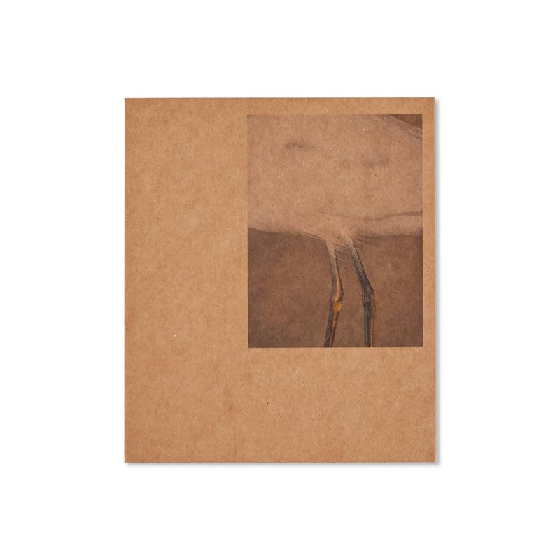 4335 10TH STREET by Daniel Shea [SIGNED]