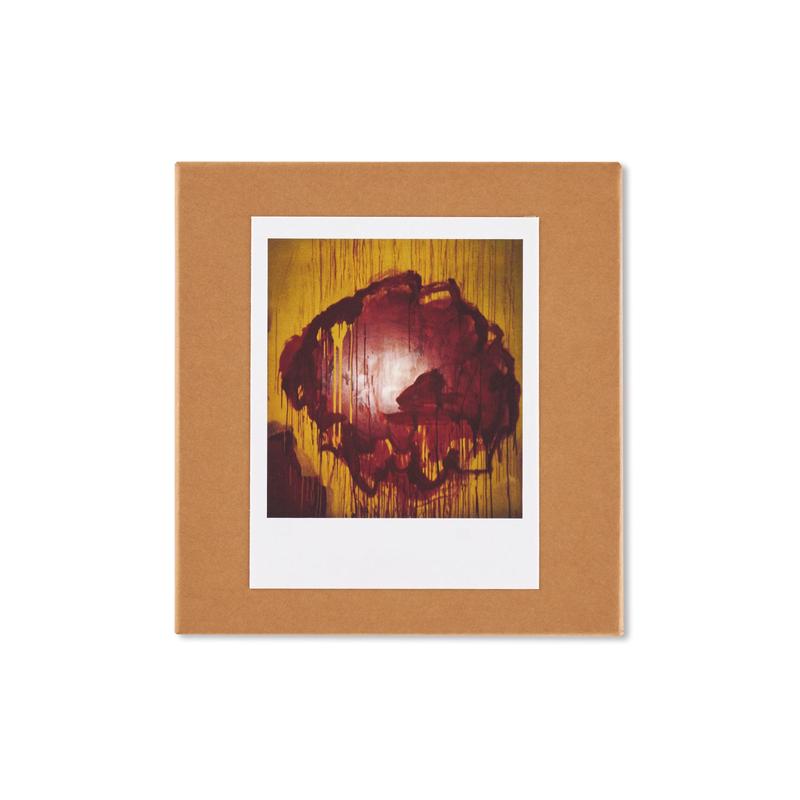 40 PHOTOGRAPHIES DE L'EXPOSITION CY TWOMBLY BLOOMING, A SCATTERING OF BLOSSOMS AND OTHER THINGS by Franois Halard [COVER: A]